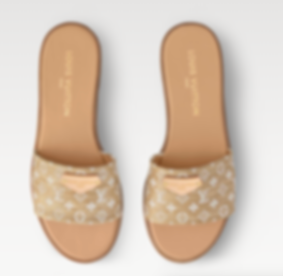 Brown Flat Sandals (L_V)