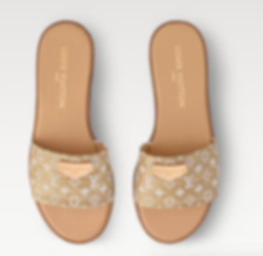 Brown Flat Sandals (L_V)